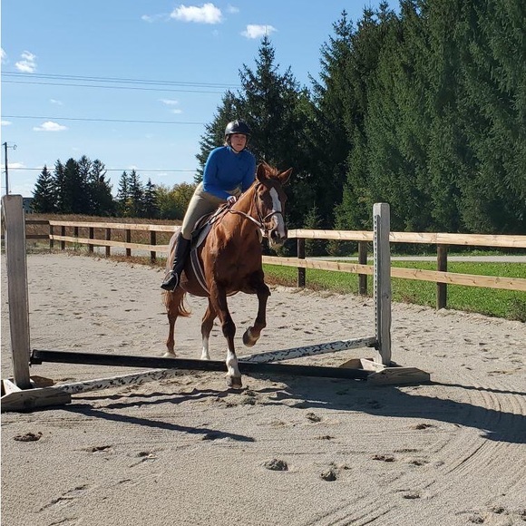 Welcome! - Picture 2 of 4